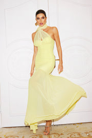 Ulasa Sleeveless Ruched Mesh Maxi Dress