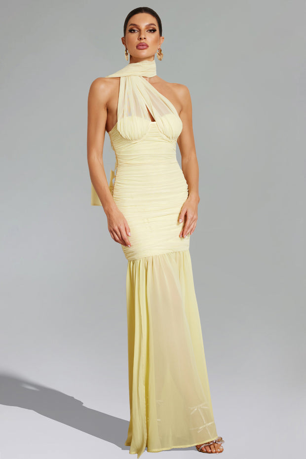 Ulasa Sleeveless Ruched Mesh Maxi Dress