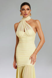 Ulasa Sleeveless Ruched Mesh Maxi Dress