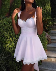 Elegant Lace Solid Color Dress